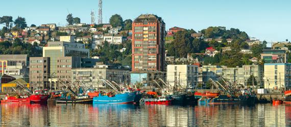 Talcahuano, Reparación de Techos